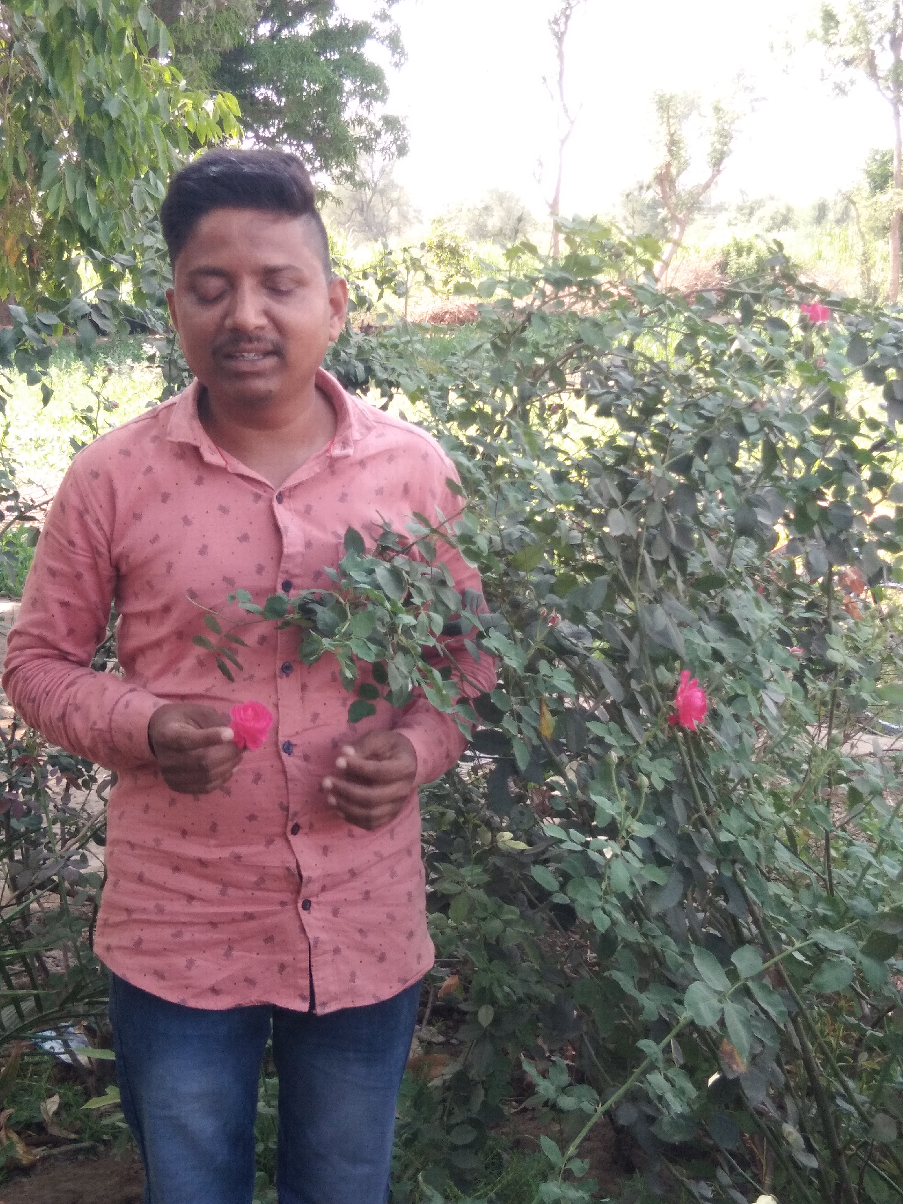 Amit