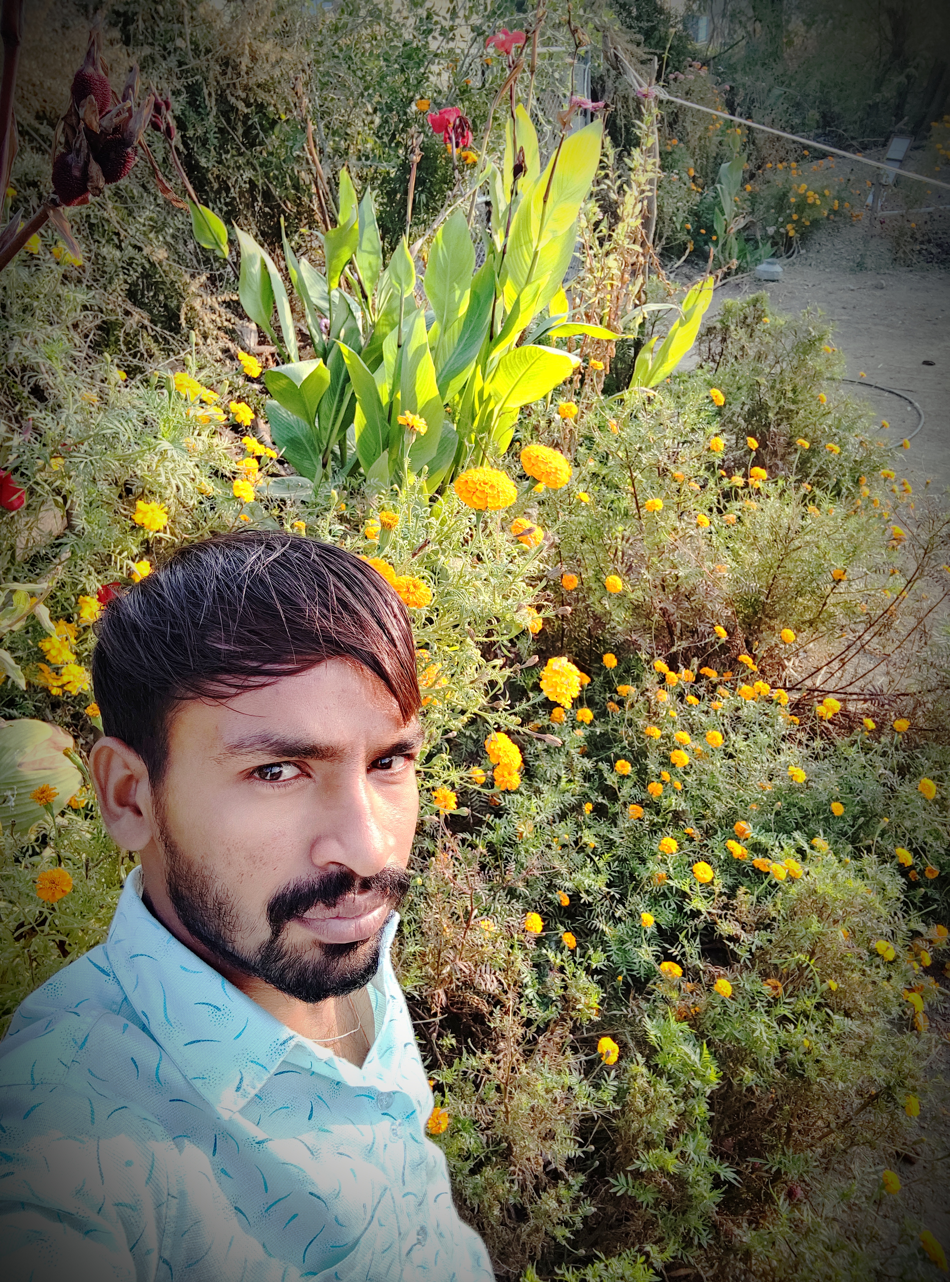 DIPAK